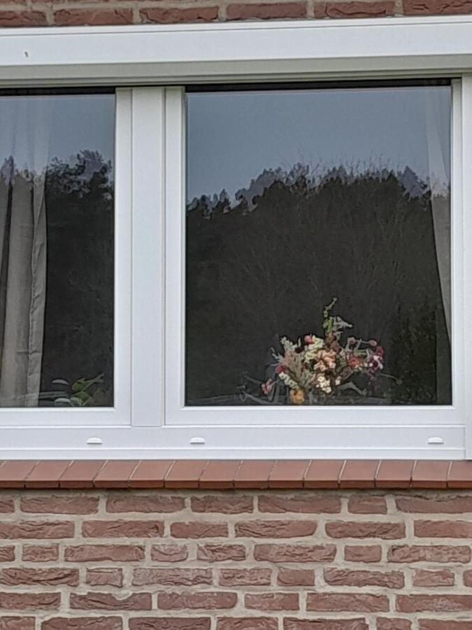 Tannenquartier - Ihr Ferienhaeuschen Appartement Groß Grönau Buitenkant foto